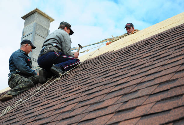 Best Roof Inspection Near Me  in Middleport, OH