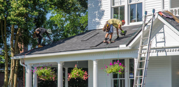Best Roof Maintenance Services  in Middleport, OH